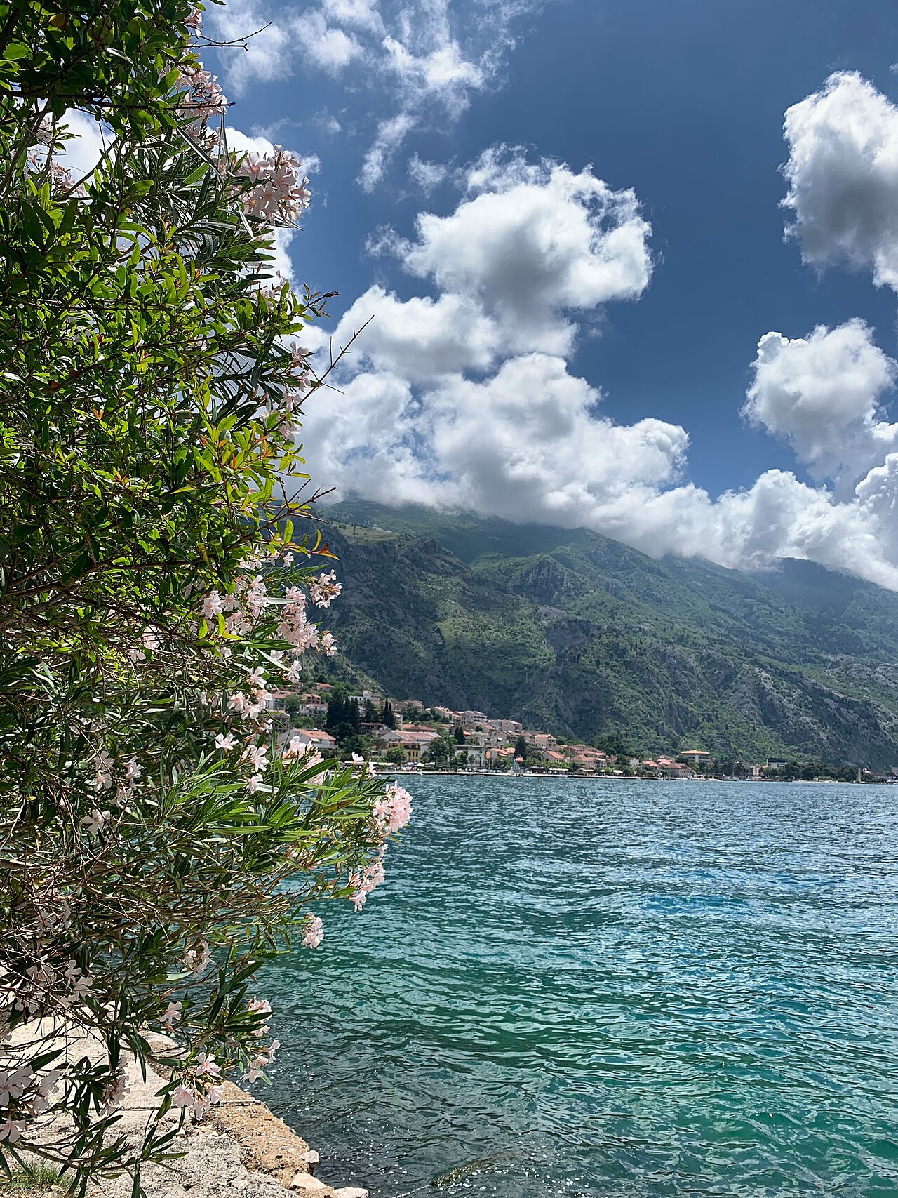 Lovćen and Cetinje, Privately Guided in Kotor, Montenegro