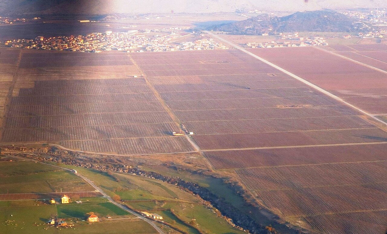 The Reserve Flight at Šipčanik Cellar in Podgorica, Montenegro