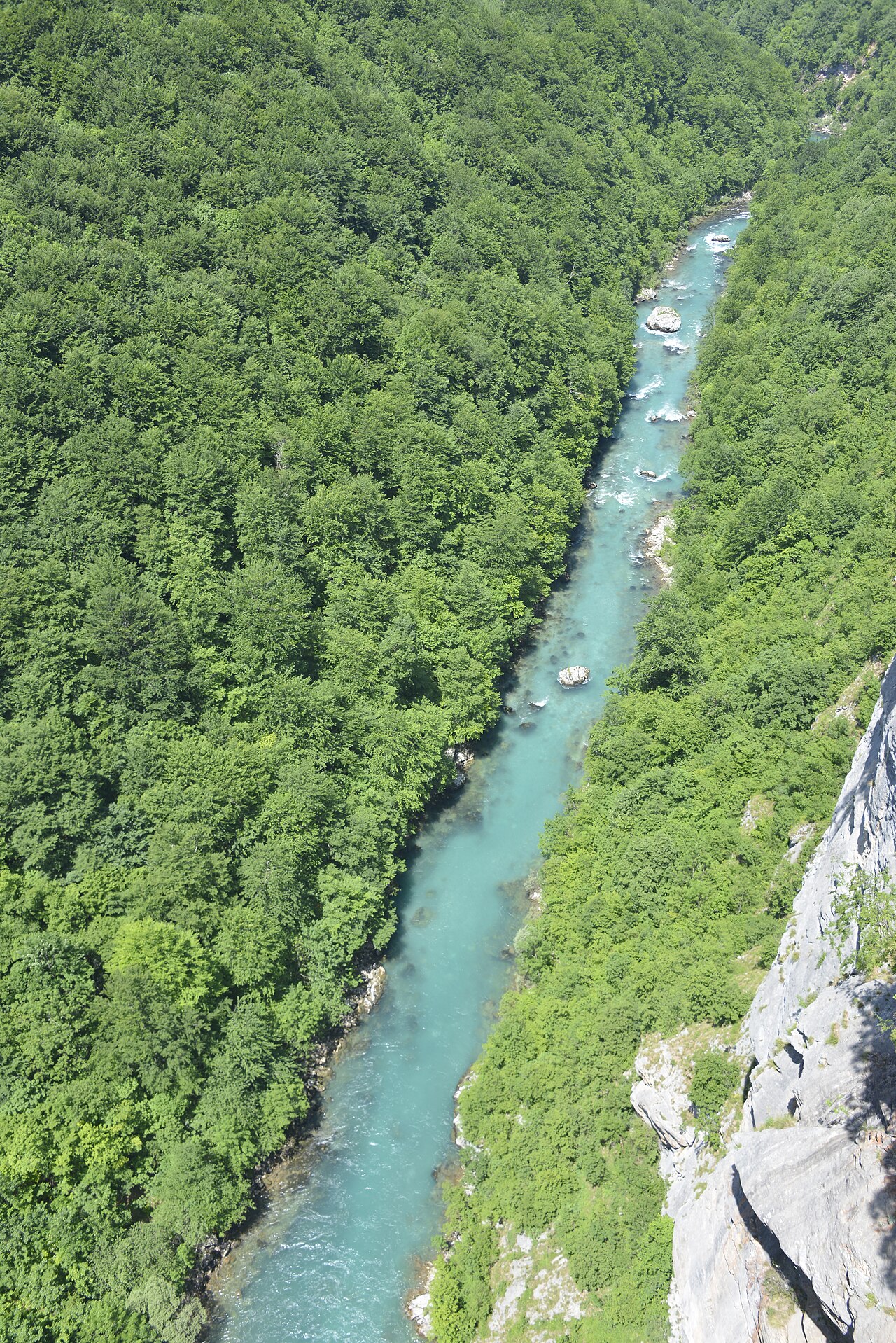 Sixty Seconds of Flight over the Tara Canyon in Đurđevića Tara, Montenegro