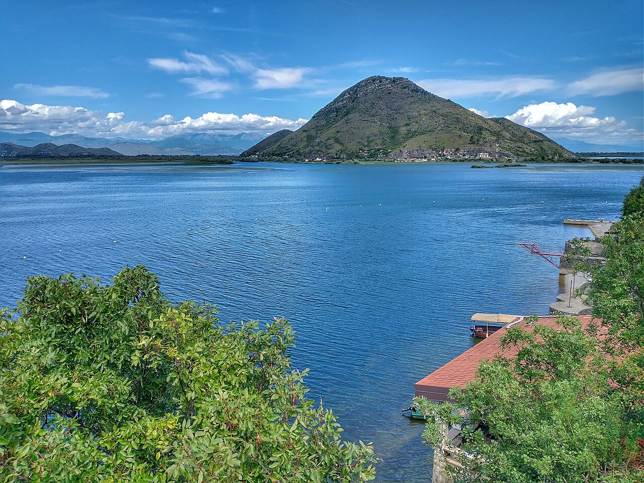 Drift the Lily Channels of Lake Skadar in Virpazar, Montenegro