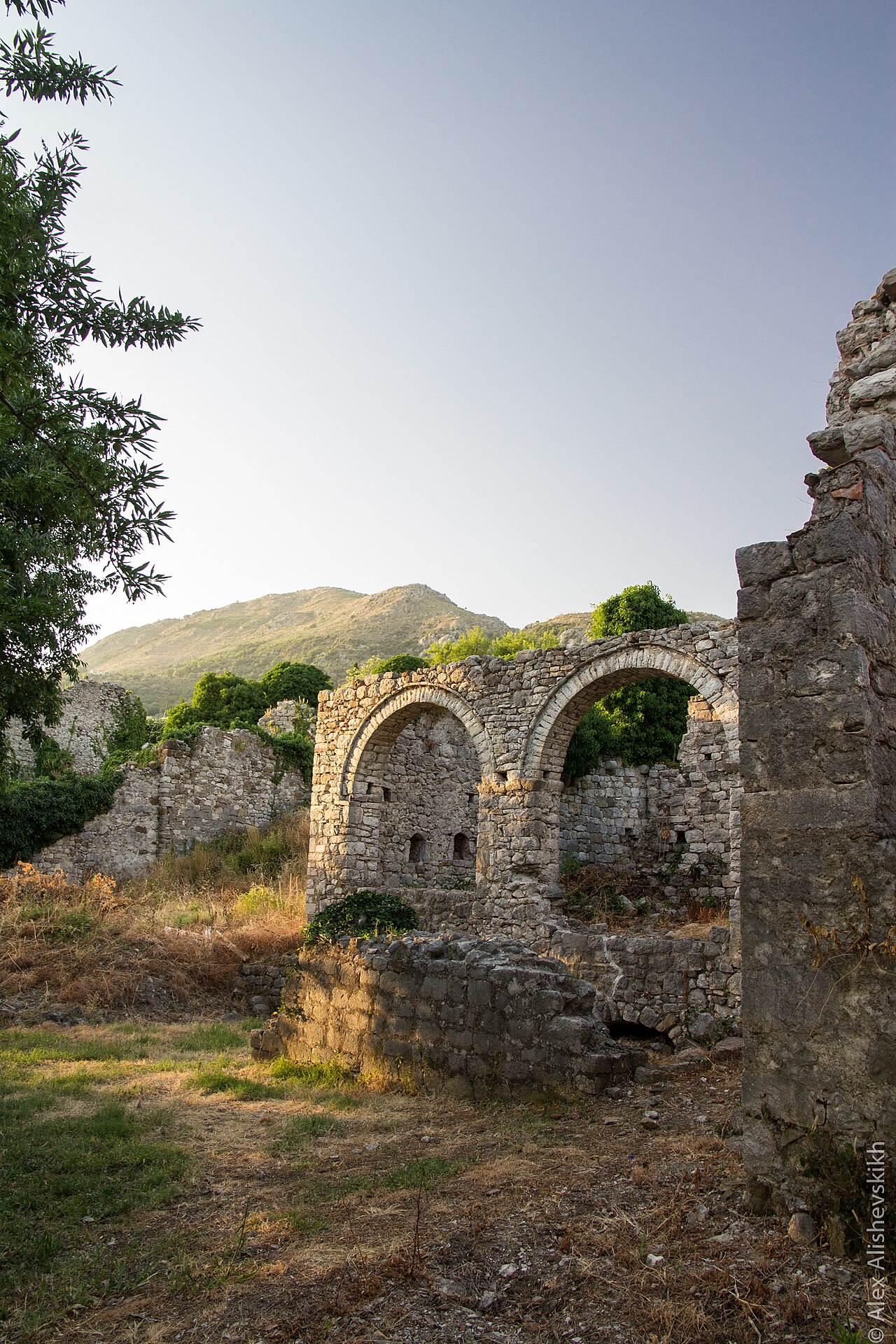Olive Groves & Village Food Tour near Bar in Bar, Montenegro