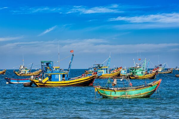 Fishing Boats In Vietnam